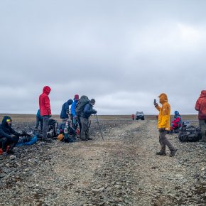 Пешком на север 19/07-07/08/24. Фотографии.